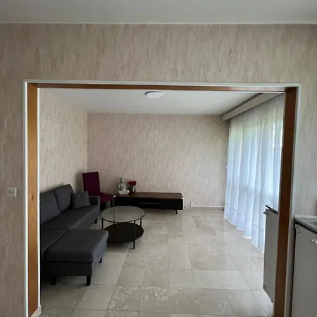 Chill With Family & Friends Near Cdg Airport Holiday home